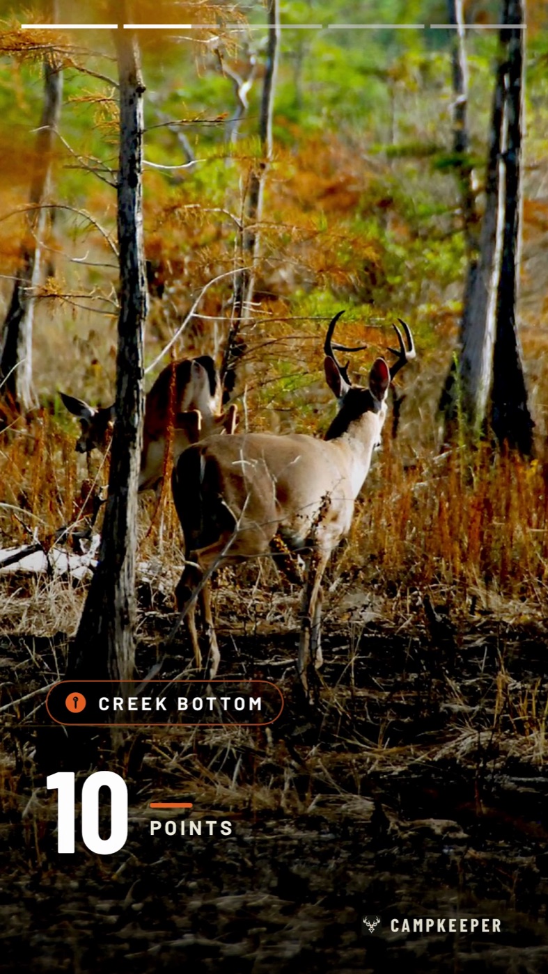 A hunt reel frame: a whitetail buck in the woods with the caption 10 points and the stand name Creek Bottom